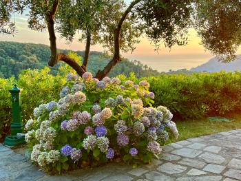 Hôtels avec jacuzzi à San Bernardino