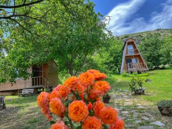 Auberges de jeunesse à Dedoplis Tskaro