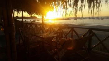 Guest houses à Los Órganos