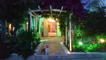 Panorama Paros