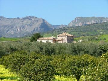 Cosy holiday home in the countryside of Stilo with garden