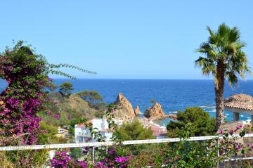Blanca Paloma - Holiday House