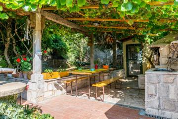 Oasis of peace