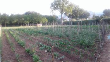 Agriturismo Tre Santi