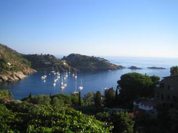 La Bouganville