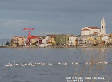 L'ISOLA AeR B&B