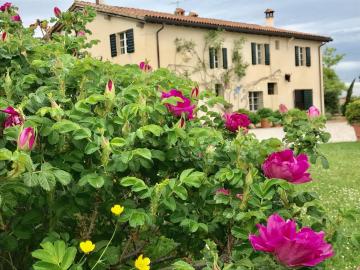 B&B Cà Bianca dell'Abbadessa