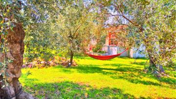 Sunray Separate Villa