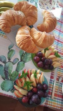 B&B Il Ficodindia