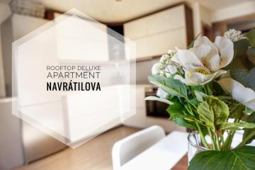 Rooftop Deluxe apartment