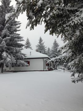 Chalet dell'Orso