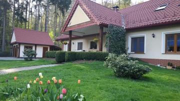 Salamandra Apartament