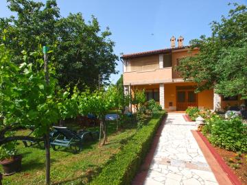 Apartment Mirjana 1906