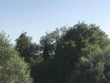 Vila Milka