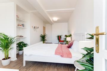 Garden apartment in the center - L17 5th
