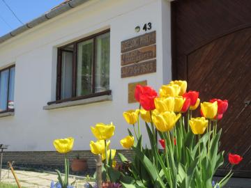 Bozsoki Pihenő
