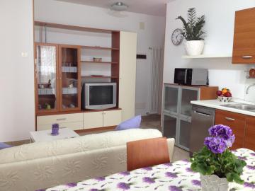 LA CASA DELLE CONCHIGLIE