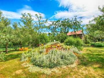 House Zeljka 1343