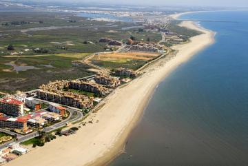 Las Palmeras by HOMA