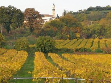 B&B Pontesello