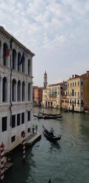 gondola show
