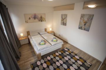 Deluxe Hall City Apartment