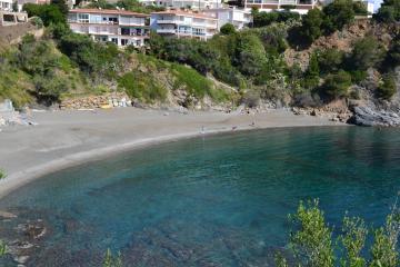 CAU DEL LLOP 11