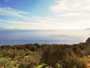 Charming Villa Amidst Olive Trees With Sea Views