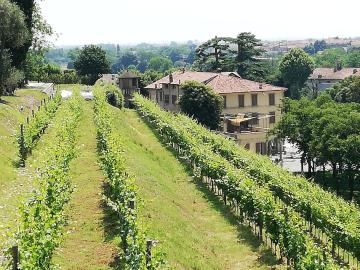 Franciacorta flat & bollicine