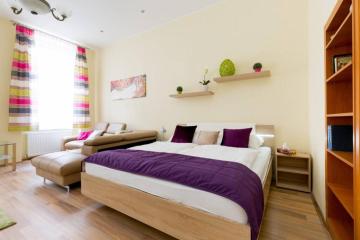 Luxury apartment in the city center