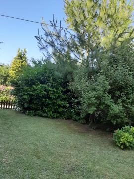 Apartament – 3 pokojowe dwupoziomowe mieszkanie z ogrodem