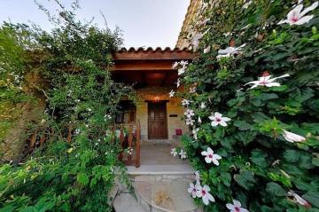 Exclusive Zante Villa Villa Kavelaris Swimming Pool Beautiful Gardens 3 BDR Tragaki