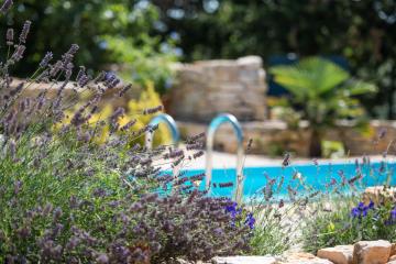 Wonderful villa Palera II with pool, immersed in the nature near the beach