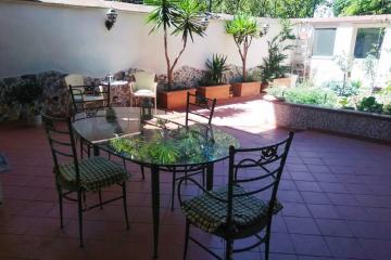 A garden in the city - Un giardino in centro città