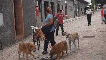 LA CASETTA DI ALE e del dog trekking