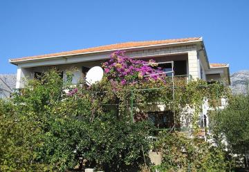 Apartments Silvija - 50 m from sea