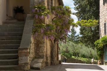 Castello di Fonterutoli Wine Resort
