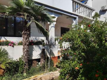 Apartments in Porec/Istrien 38185