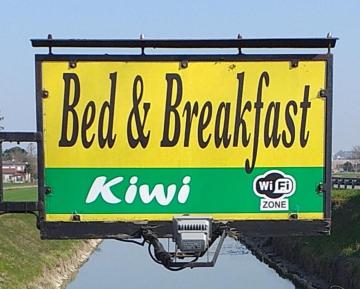 B&B Kiwi