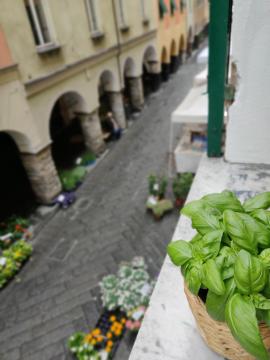 Vista sul carruggio, centro storico di Chiavari