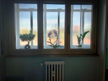 Maison Cinquante