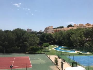 Mar y Pinada