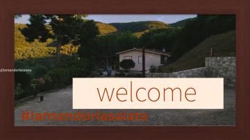 La Mandorla Salata