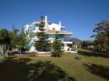 The Blue House
