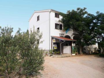 Apartment in Barbat/Insel Rab 16248