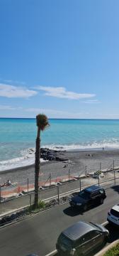 (A)MARE