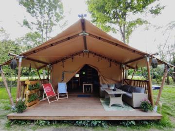 Forrest Glamp