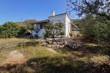 Elafonisos Detached House in Quiet Olive Grove, Starlink Internet & Smart Projector!