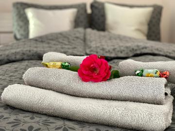 Apartamenty W Brzozowym Gaju