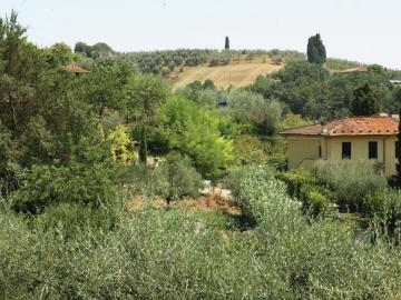 Enjoy the Tuscan landscape in a farmhouse with pool and wifi